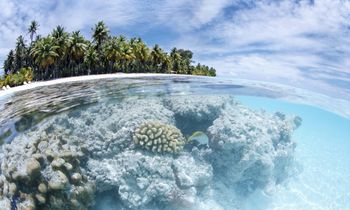 Picture Alliance / Robert Harding | Sergio Pitamitz