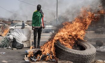 picture alliance / AA | Annika Hammerschlag