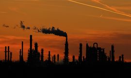 picture alliance/AP/Charlie Riedel